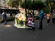 Bóng đá anh, ngoại hạng anh, lịch thi đấu euro 2012, Đàn tê giác trên đường phố Sao Paulo